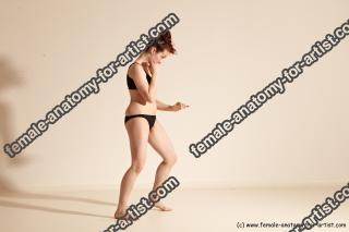 thaibox reference 098